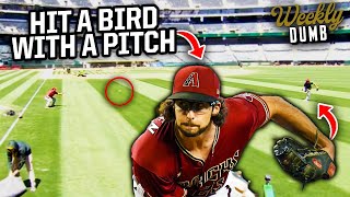 Diamondbacks pitcher hits a bird with a pitch  Weekly Dumb [upl. by Sirromed]