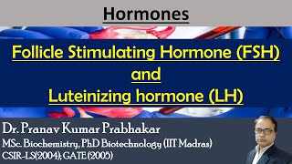 Gonadotropins Follicle Stimulating Hormone FSH and Luteinizing hormone LH [upl. by Lemcke]