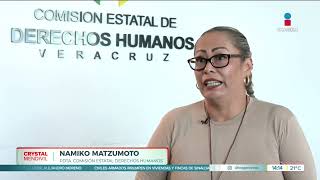 Continúan las masacres en Veracruz  Noticias con Crystal Mendivil [upl. by Orferd925]