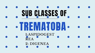 Sub classes of Trematoda AspidogestreaDigenea invertebrates diversity [upl. by Nananne]