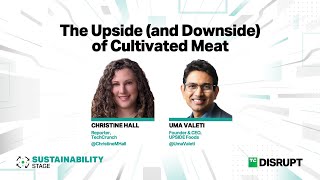 The Upside and Downside of Cultivated Meat  TechCrunch Disrupt 2023 [upl. by Trager]