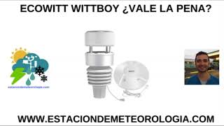 Ecowitt Wittboy estación meteorológica Wifi con anemómetro de ultrasonidos y pluviómetro háptico [upl. by Guillemette387]