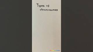 What are 4 types of chromosomes shorts viral trending [upl. by Kassandra]