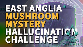 East Anglia Hallucination Challenge Mushroom Mystery Fly Agaric Assassins Creed Valhalla [upl. by Reifinnej]