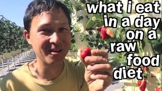 What I Eat in a Day on Raw Food Diet When I Travel [upl. by Trici]