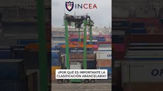 ¿Por Qué Es Importante La Clasificación Arencelaria [upl. by Nilek]