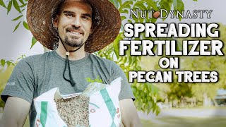 Fertilizing Pecan Trees Spreading Fertilizer On Pecan Trees [upl. by Free281]