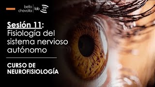 Fisiología del Sistema Nervioso Autónomo [upl. by Nosila]