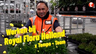 Werken bij Royal Flora Holland  Logistiek Medewerker  TempoTeam [upl. by Silvie]