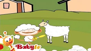 Oliver  Sheering Sheep 🐏  Cartoons for Kids BabyTV [upl. by Bostow495]