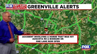 Horse hit killed by car along Greenville County highway [upl. by Peednas]