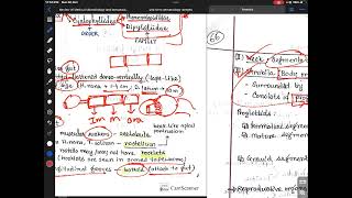 Introduction to Cestodes [upl. by Melvina]