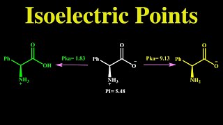 Amino Acids Isoelectric Point and Their Structures in different PH [upl. by Hoang488]