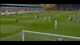 Wolves Quick Clips  Stephen Hunt  Relegation Saving Goal [upl. by Dyoll34]