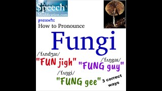 How to Pronounce Fungi 3 Correct Ways [upl. by Susejedairam]