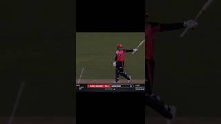 Jack Frazer mcgurk fastest fifty gaming cricket shorts [upl. by Perlie]