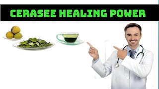 Benefits Of Cerasee Tea Can You Eat Jamaican Cerasee Lets Find Out [upl. by Sholley]