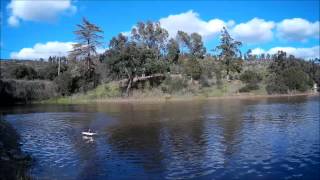 Swamp Dawg Air Boat  Feb 2014 [upl. by Llerraf929]