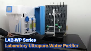 LABWP Series Laboratory Ultrapure Water Purifier  LABOAO [upl. by Leugim]