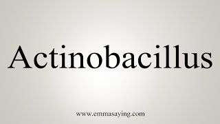 How To Say Actinobacillus [upl. by Huntlee]