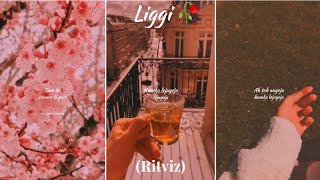 ❣️Liggi  Ritviz  💖Humri Seet Parneet  🥀Liggi Song Status  Romantic ⚡Status  Aesthetic🌈  HC [upl. by Aikemahs]