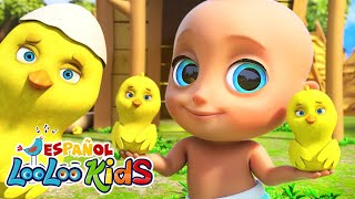 🐤🐥Los Pollitos Dicen Pio Pio  S7EP26 Aventuras Musicales MIX  LooLoo Kids Español [upl. by Ameline]