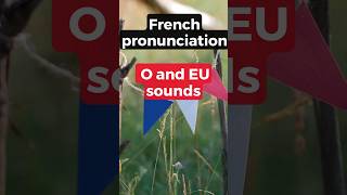 The French sounds O and EU shorts [upl. by Addiel552]