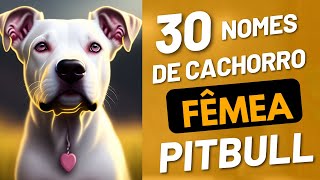 Nomes de cachorro FÊMEA PITBULL  VOCÊ VAI AMAR [upl. by Gati]