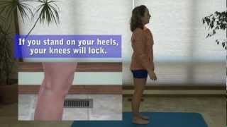 Standing Knee Exercise to Strengthen the Muscles Around the Patella amp Avoid Knee Pain [upl. by Knuth]