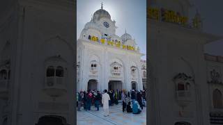 🌸🙏🏻Dhan Dhan Sri Guru Ramdas Ji 🙏🏻🌸 wahegurusatnam satnamwaheguru amritsar SGPCSriAmritsar [upl. by Gaven]