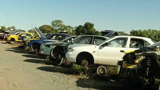 Scavenging Australian car junk yards U Pull it Elizabeth for cheap car parts [upl. by Rem]