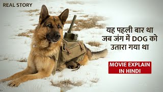 300 Enemy Tanks Demolished By Russian Dog Squad Unraveling The True Story In Hindi [upl. by Emerson890]