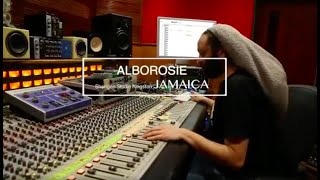 Alborosie  Table Has Turned Dub LIVE  DUB Mechanic Series [upl. by Aliuqat491]