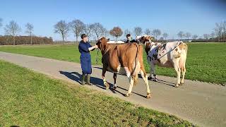 Oefenen voor Wintershow Asten Heusden [upl. by Aihgn445]