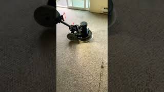 Carpet Cleaning stain eraser Port Orchard Washington [upl. by Norrehc]