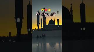 🥺😭💫 allah islamicvideo viralvideo youtubevideo shortvideo love madina [upl. by Field433]