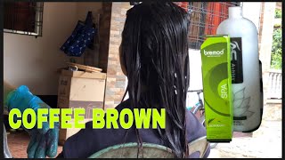 HOW TO DO COLOR COFFEE BROWN ON COLORED HIGHLIGHTED HAIR [upl. by Rebane703]