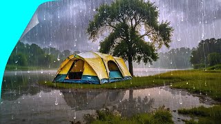 Heavy rain strong wind camping by the water relaxing deep sleep ASMR [upl. by Tsan]