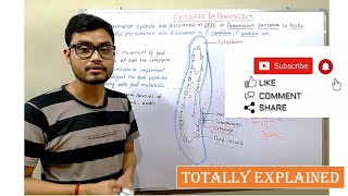 Cyclosis in Paramecium  BSc 1st year Zoology [upl. by Ode651]