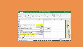 calcul du salaire net à payer [upl. by Niwhsa]