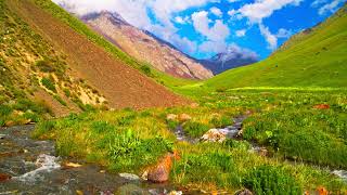 A Stunning and Breathtaking Mountain Landscape Featuring a Clear Stream and Lush Greenery [upl. by Alenson352]