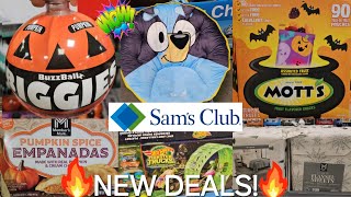 SAMS CLUB CHRISTMAS ARRIVAL PUMPKIN SEASON IS HERE WALKTHROUGH 2024 [upl. by Ajiam343]