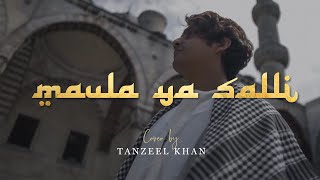 MAULA YA SALLI  Tanzeel Khan [upl. by Nueovas]