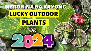 TOP 8 LUCKY OUTDOOR PLANTS FOR 2024 [upl. by Eineeuq445]