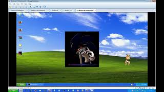 sally on windows xp FOR SAMTALLANT349584985435830958 [upl. by Arriaet]