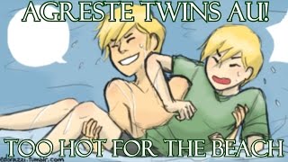 Miraculous Ladybug Comic Dub Agreste Twins AU  Too Hot for the Beach [upl. by Jillane]