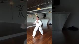 Basic Shukokai karate combinations [upl. by Assirahs]