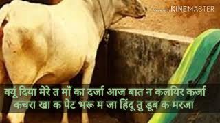 Aaj teri gau mata ki nad kasai new hr song status [upl. by Jola140]