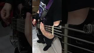 Metallica  Devils Dance Bass Cover [upl. by Ursula201]