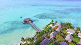 Reef amp Beach Resort  Best accommodation Zanzibar [upl. by Zolner413]